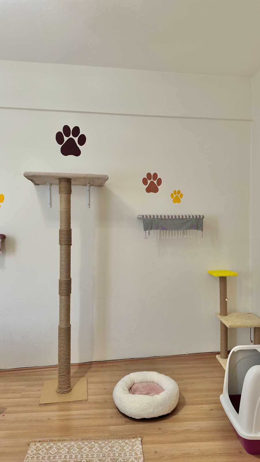 Catly konaklama odası — tırmalama direği ve kedi yatağı